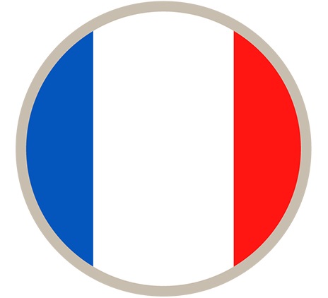 Transfer pricing - France