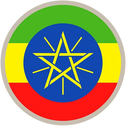Expatriate tax - Ethiopia