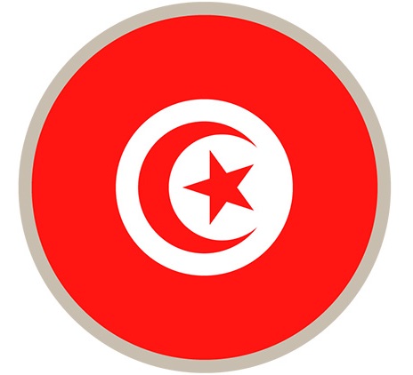Transfer pricing - Tunisia